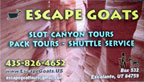 escape goats