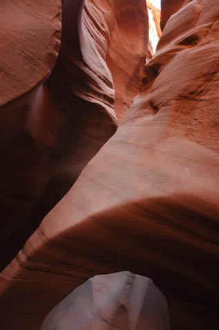 slot canyon in Coyote Gulch